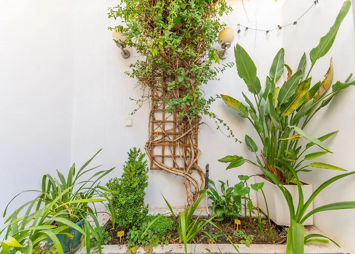 Casa Alecrim Vakantiehuis *