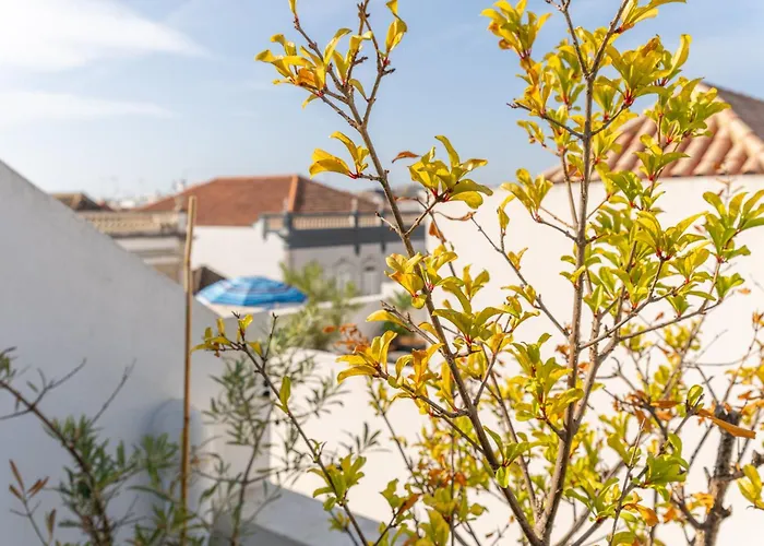 Casa Alecrim Vakantiehuis *