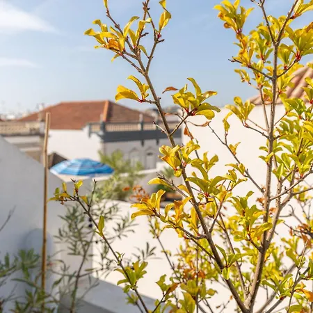 Casa Alecrim Σπίτι διακοπών *